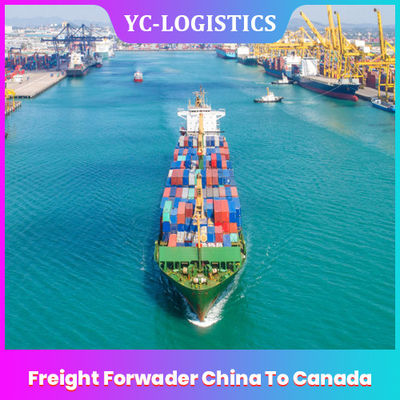 FOB Freight Forwarder จีนไปยังแคนาดา