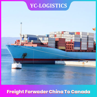 Sea CIF Door DDP Express Freight Forwarder จีนไปยังแคนาดา